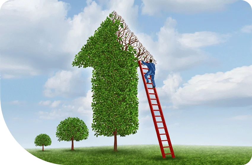 Wealth Management
